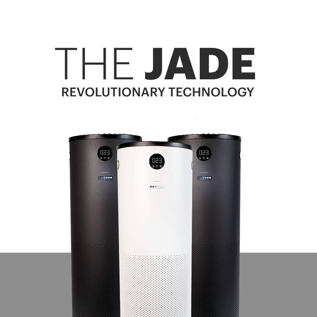 is jade plant an air purifier Jade Air Purification System – The Muskoka Store