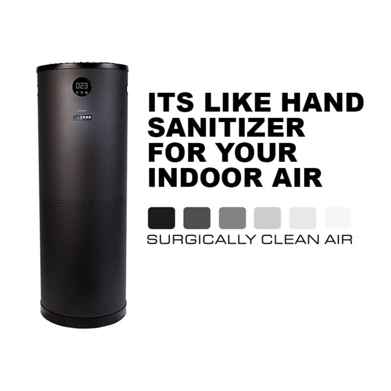 jade plant clean air Jade Air Purification System – The Muskoka Store